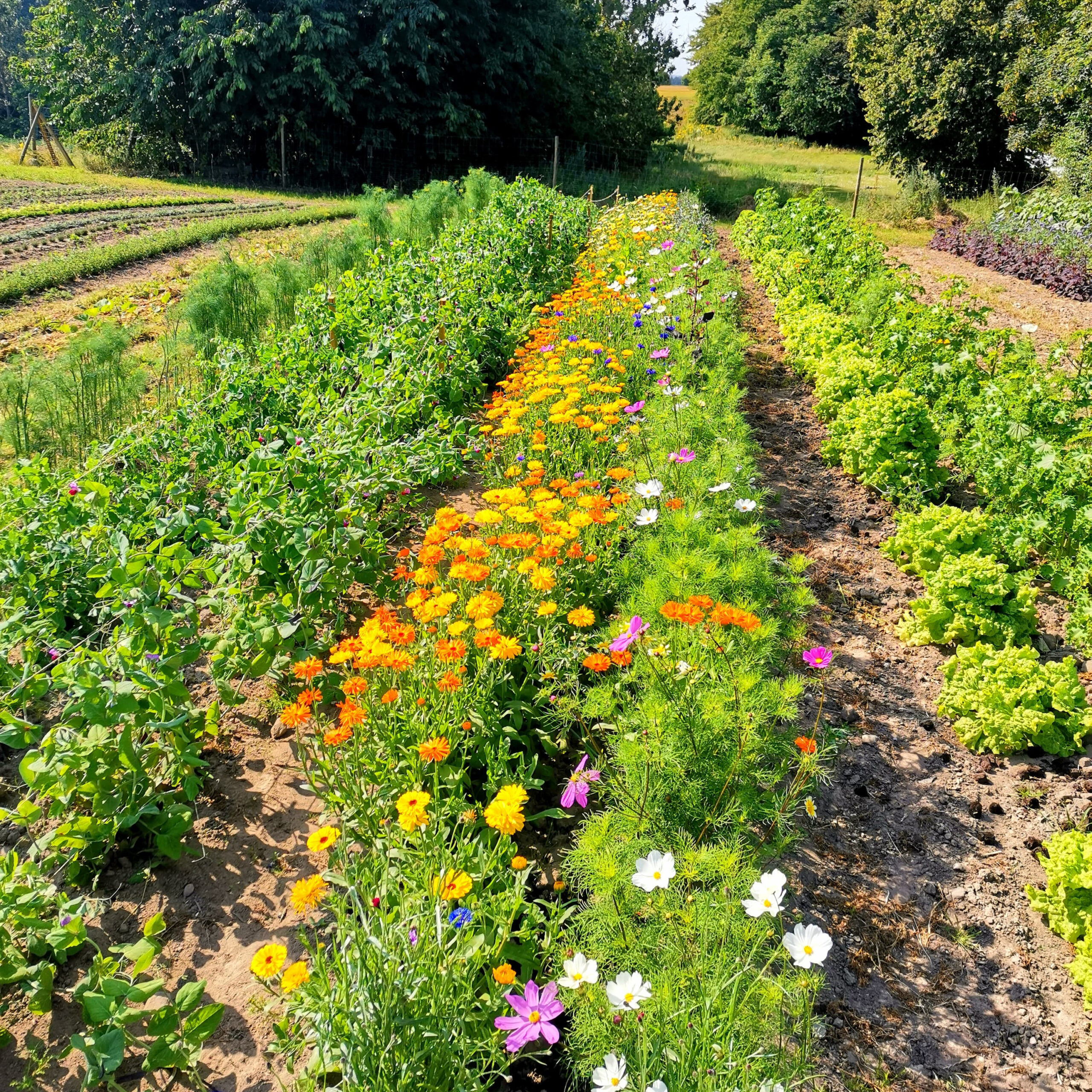 307850261_1092370181647212_1180615757830018198_n